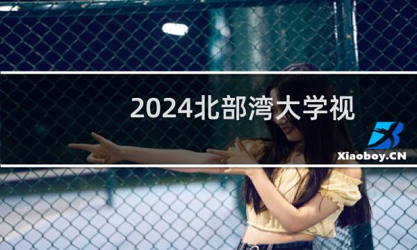 2024北部湾大学视觉传达设计专业各省录取分数线
