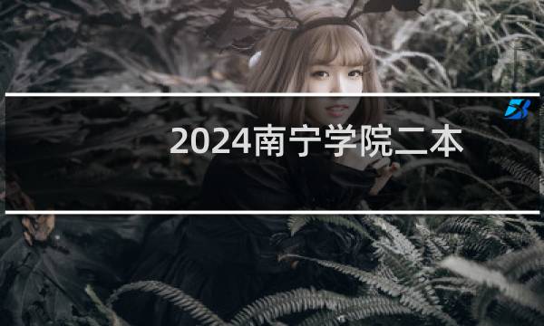 2024南宁学院二本及预科分专业录取分数线