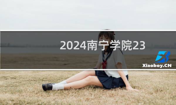 2024南宁学院234专业各省录取分数线