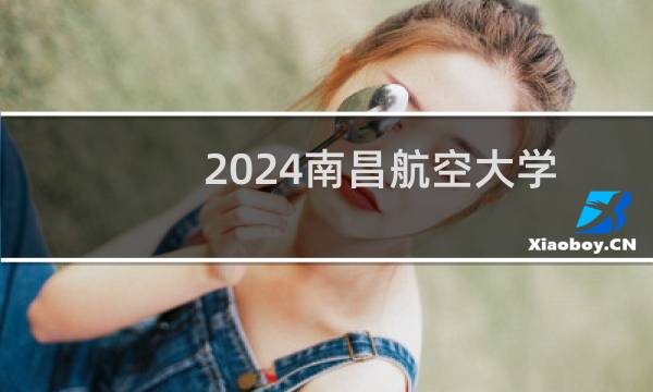 2024南昌航空大学科技学院航空服务艺术与管理专业各省录取分数线