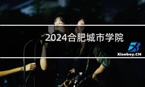 2024合肥城市学院艺术类专业录取分数线