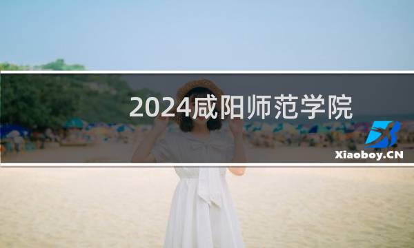 2024咸阳师范学院在安徽004(书法类)专业分数线最低多少 最低517.63分