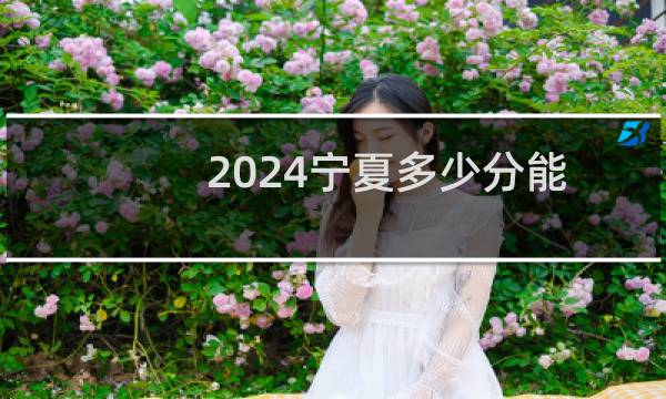 2024宁夏多少分能考上宁夏职业技术学院