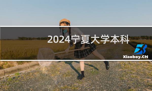 2024宁夏大学本科一批预科分专业录取分数线