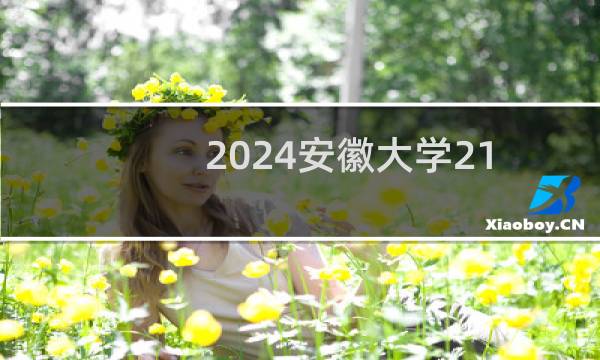 2024安徽大学21环境设计专业各省录取分数线
