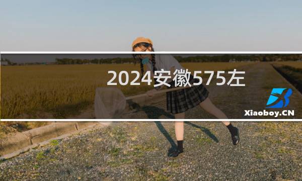 2024安徽575左右能报考的大学名单 参考志愿84所大学