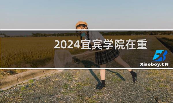 2024宜宾学院在重庆体育教育专业录取投档分数线