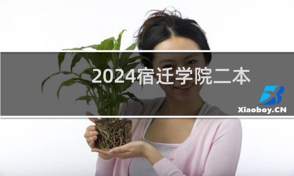 2024宿迁学院二本及预科分专业录取分数线