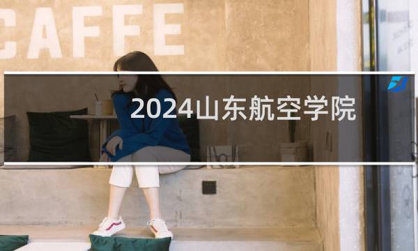 2024山东航空学院203专业各省录取分数线