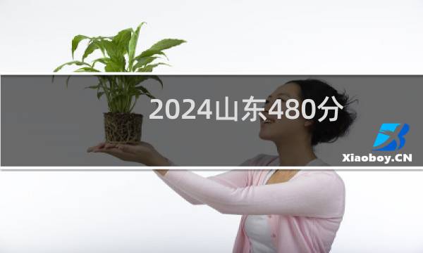 2024山东480分能考上哪些大学？ 附90所能报考大学名单