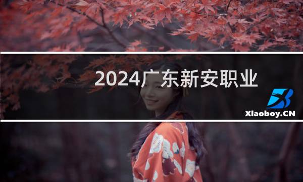 2024广东新安职业技术学院录取分数线
