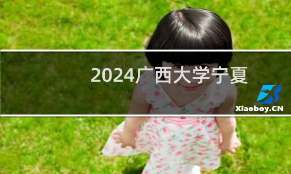 2024广西大学宁夏高校专项录取分数线 最低480分