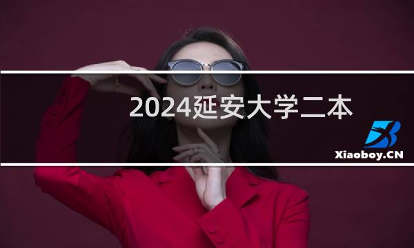 2024延安大学二本及预科分专业录取分数线