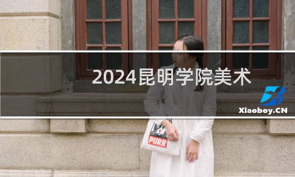 2024昆明学院美术与设计专业各省录取分数线
