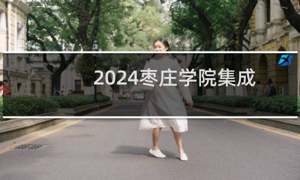 2024枣庄学院集成电路设计与集成系统专业各省录取分数线