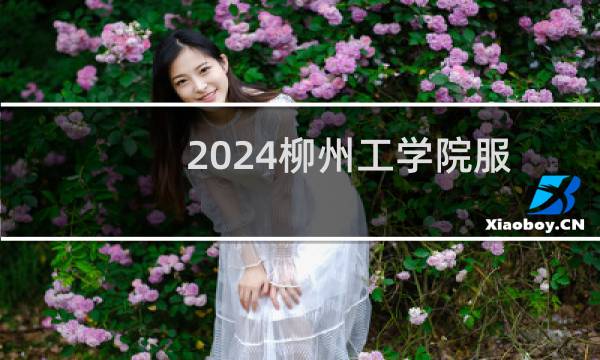 2024柳州工学院服装与服饰设计专业各省录取分数线