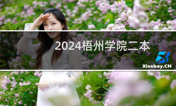 2024梧州学院二本及预科分专业录取分数线