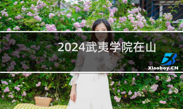 2024武夷学院在山东11美术学专业最低录取分数线 最低489.25分