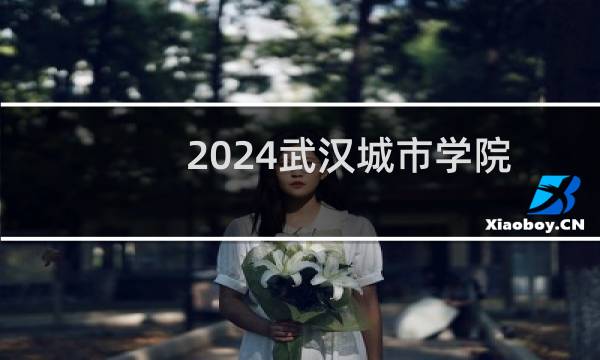 2024武汉城市学院35服装与服饰设计专业各省录取分数线