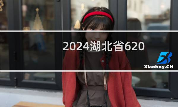 2024湖北省620左右能报考的大学名单 参考志愿2所大学