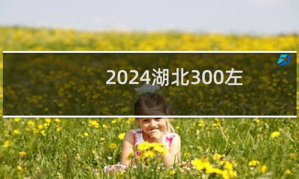 2024湖北300左右能报考的大学名单 参考志愿3所大学