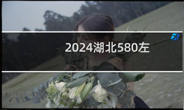 2024湖北580左右能报考的大学名单 参考志愿94所大学