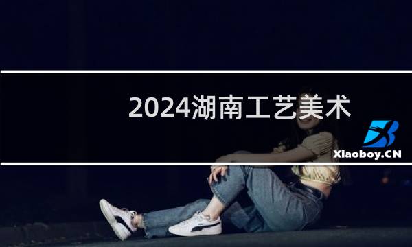 2024湖南工艺美术职业学院录取分数线