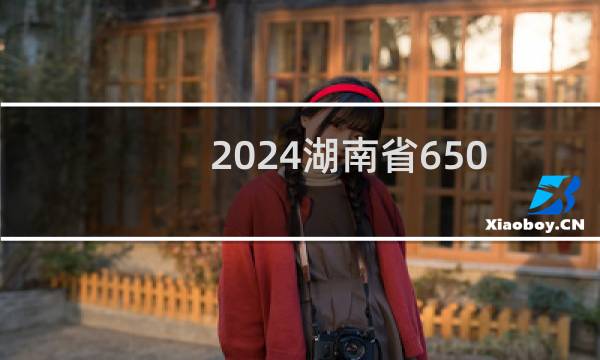 2024湖南省650左右能报考的大学名单 参考志愿1所大学