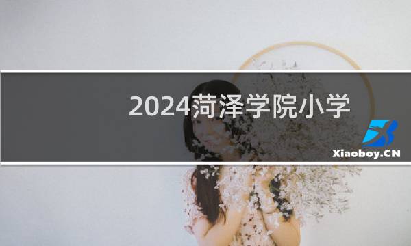 2024菏泽学院小学教育(师范类)专业各省录取分数线