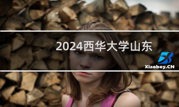 2024西华大学山东艺术类专业录取分数线 最低497分