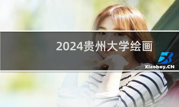 2024贵州大学绘画专业各省录取分数线
