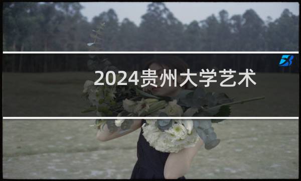 2024贵州大学艺术类在贵州录取分数线