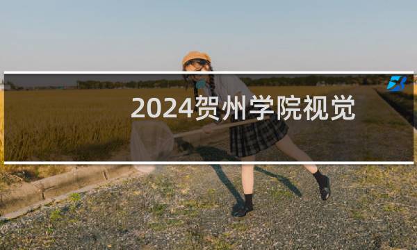 2024贺州学院视觉传达设计专业各省录取分数线
