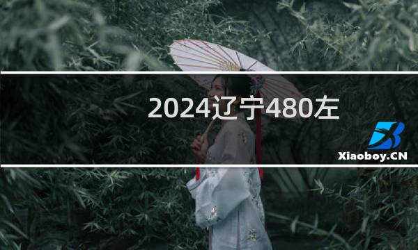 2024辽宁480左右能报考的大学名单 参考志愿104所大学