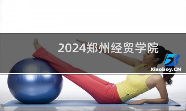 2024郑州经贸学院艺术类在湖南录取分数线