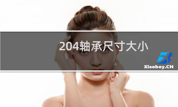 204轴承尺寸大小