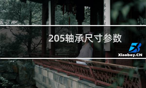 205轴承尺寸参数