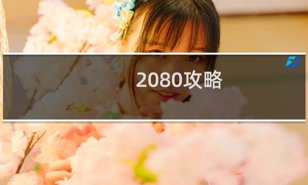 2080攻略