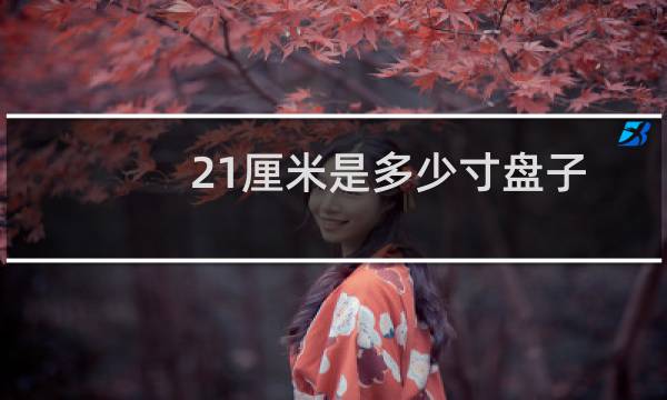 21厘米是多少寸盘子