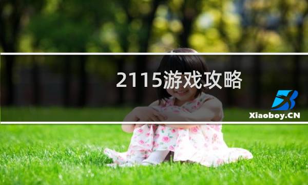 2115游戏攻略