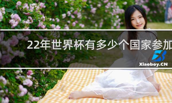 22年世界杯有多少个国家参加