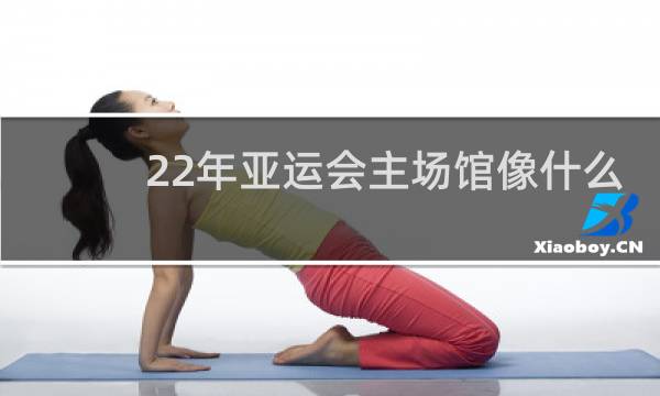 22年亚运会主场馆像什么