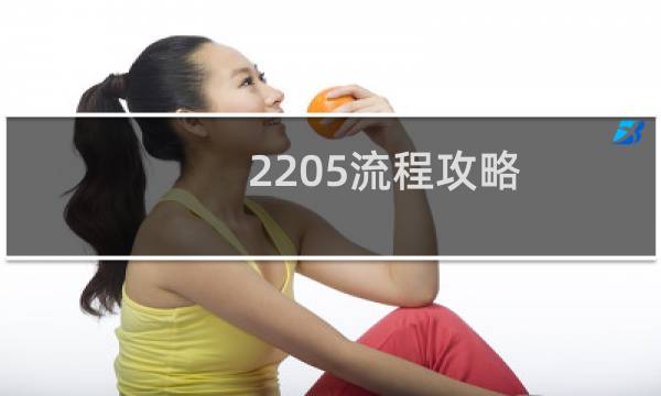 2205流程攻略