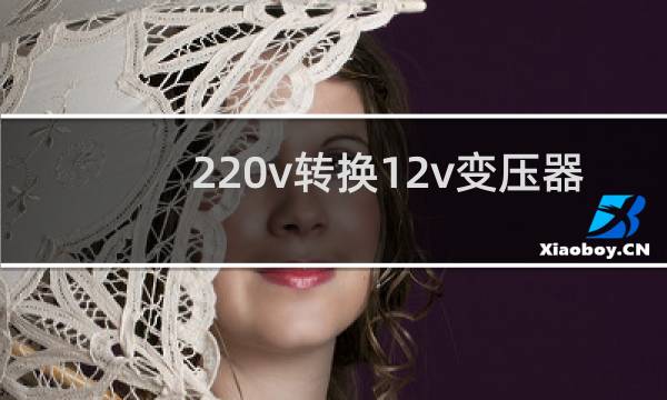 220v转换12v变压器