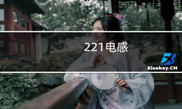 221电感