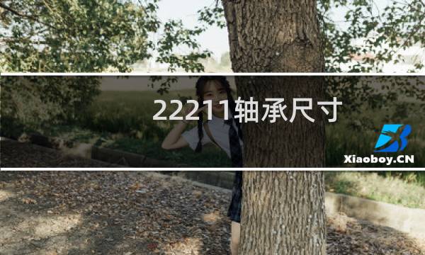 22211轴承尺寸
