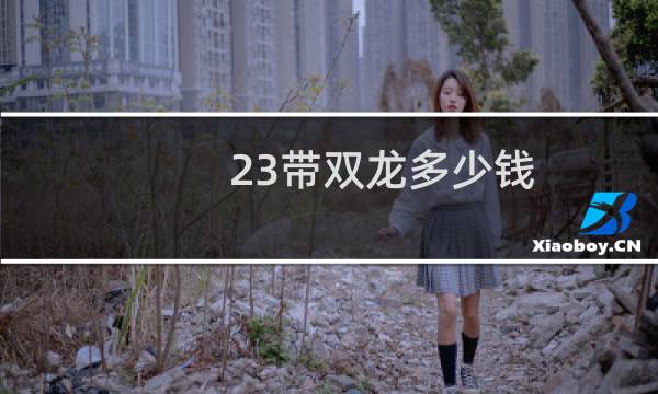 23带双龙多少钱