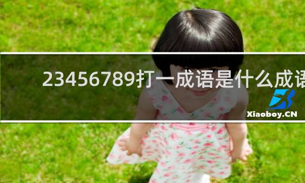 23456789打一成语是什么成语