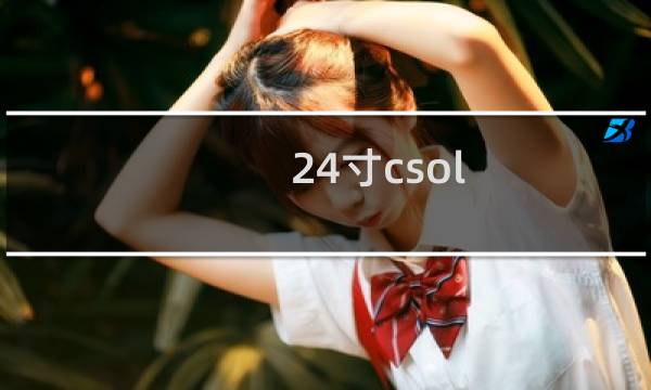 24寸csol