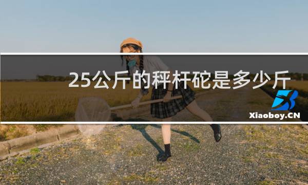 25公斤的秤杆砣是多少斤